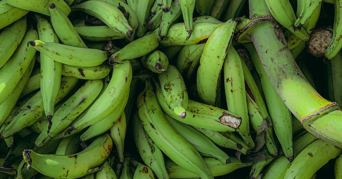 Montón de plátanos verdes con manchas oscuras en la cáscara, apilados en primer plano